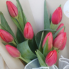 39-1.png Ramo de tulipanes