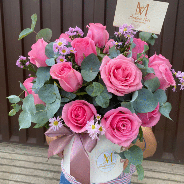 Caja de 24 Rosas