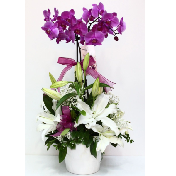 Lirios y Orquídea para mamá